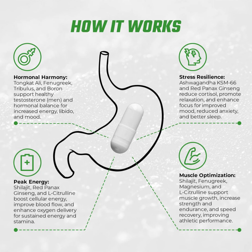 Ruxast ® Premium Shilajit Alpha King