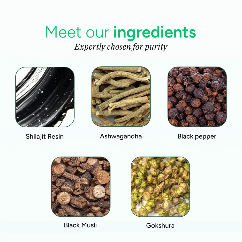 Ruxast ® Premium Himalayan Shilajit Gummies